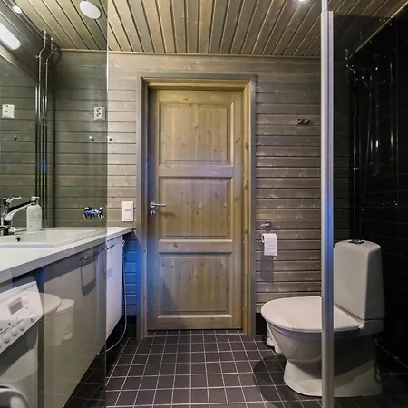 Levin Stara C 14 Visit *