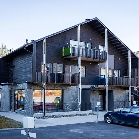 Levin Stara C 14 Visit * Levi