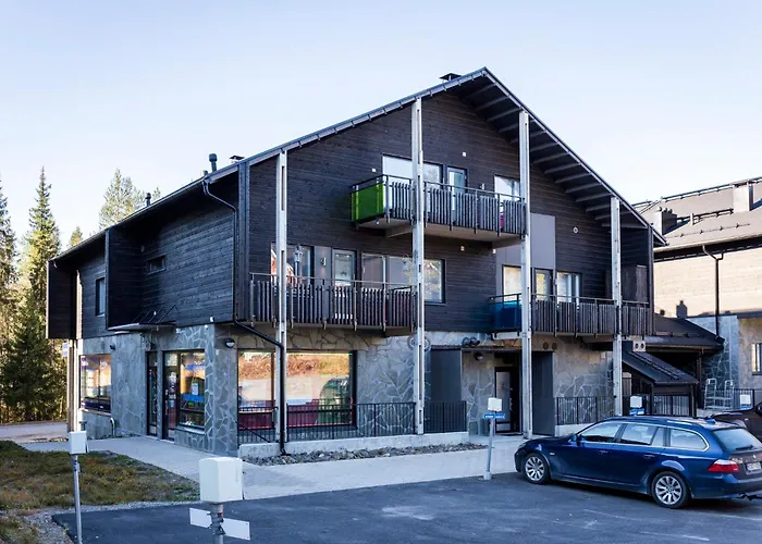 Levin Stara C 14 Visit * Levi