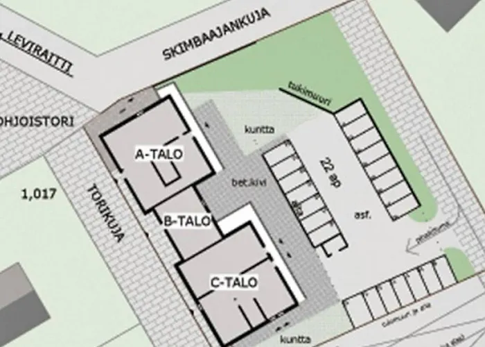 Levin Stara C 14 Visit *